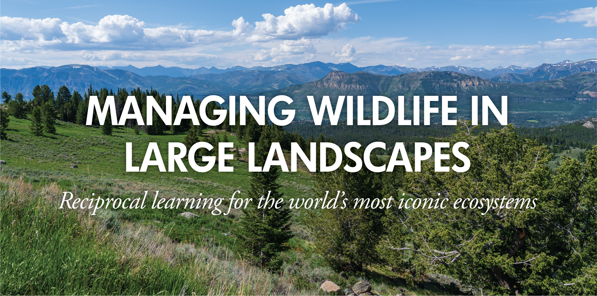 Managing Wildlife in Large Landscapes: REciprocal learning for the world's most iconic ecosystems