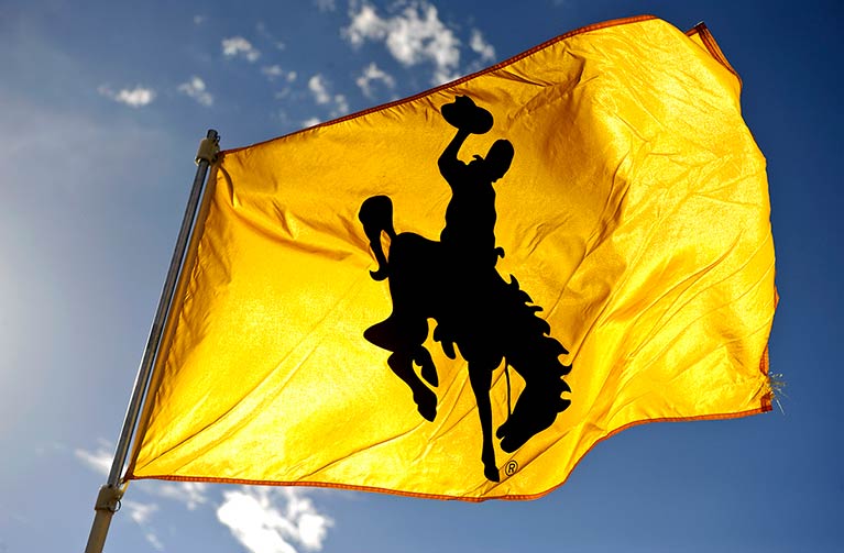 a gold UW logo flag waving in the blue sky